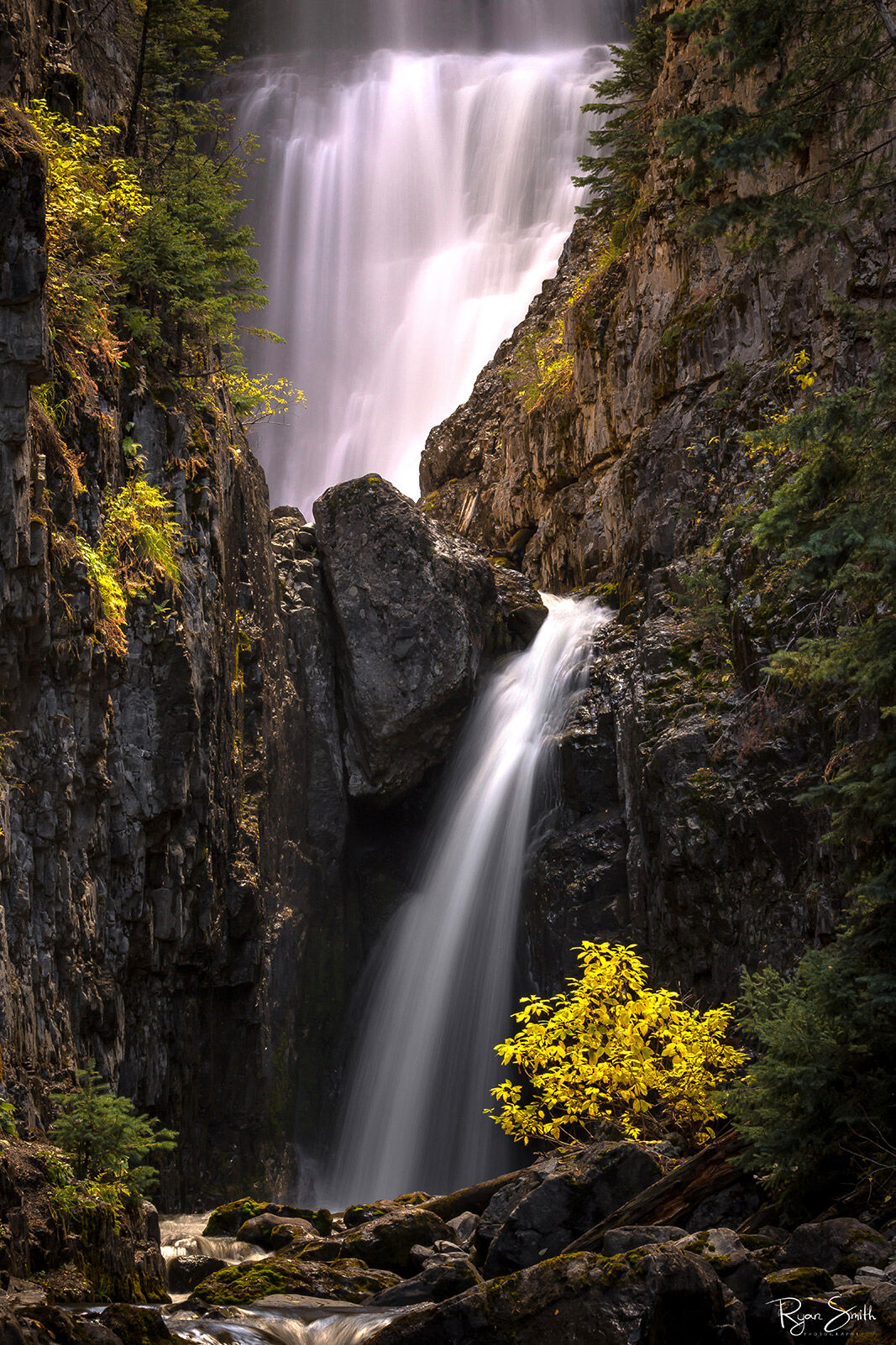 Mystic - Telluride, Colorado