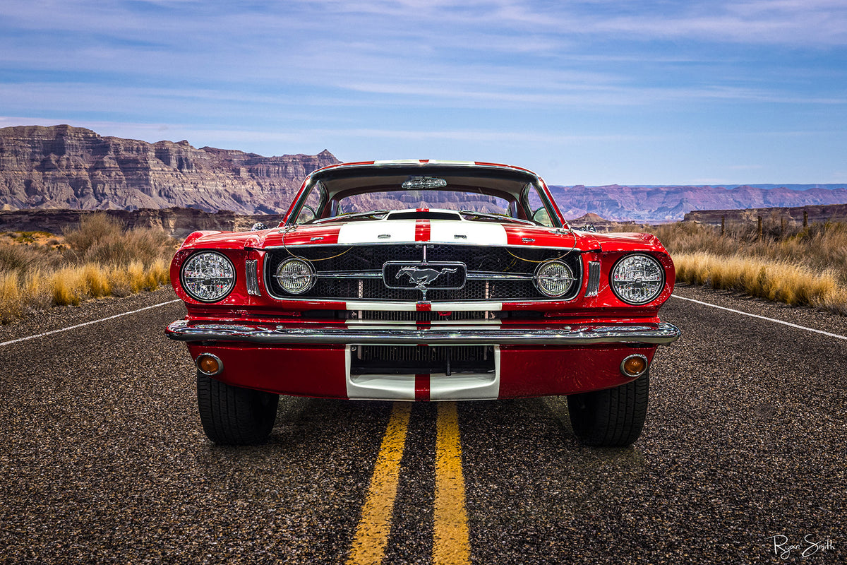 Wild Horses - Vintage Auto Wall Art