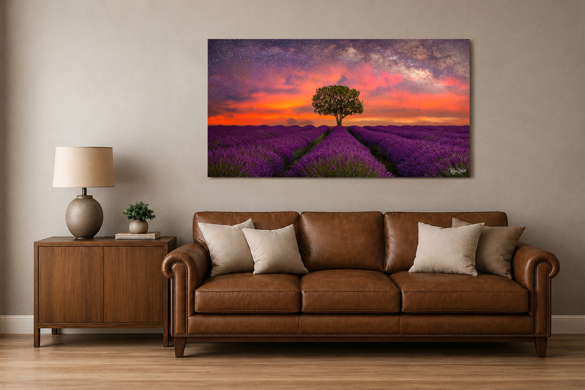 Field of Dreams