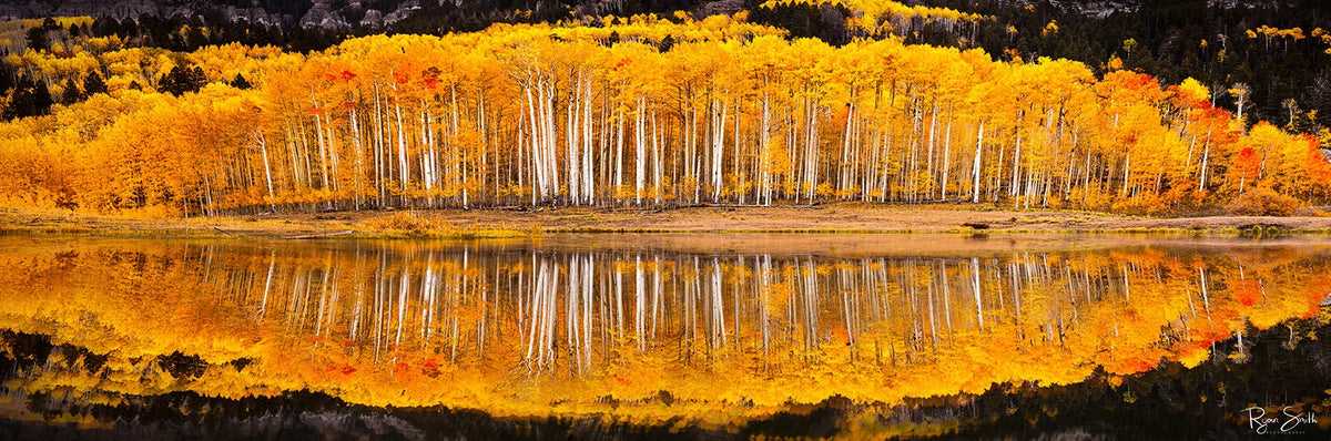 Clarity Pano 1:3 - Ridgway, CO