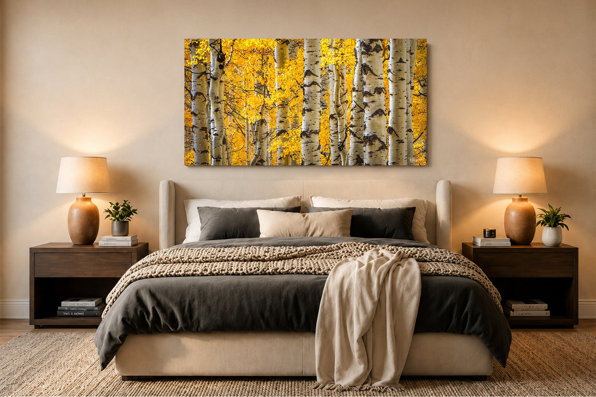 Zest - Telluride, CO