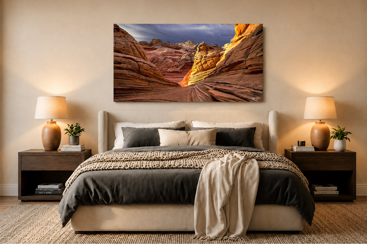 Divergent - White Pockets, Arizona