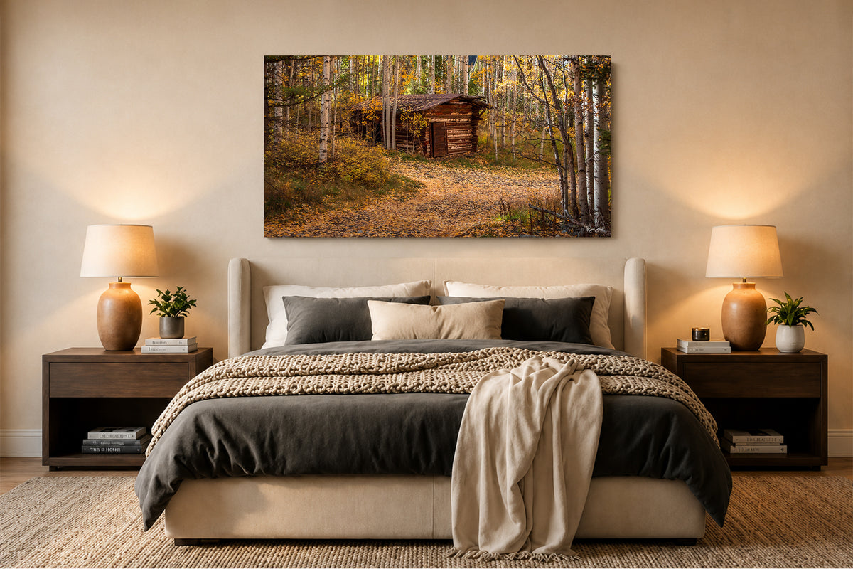 Ames Cabin - Telluride, CO