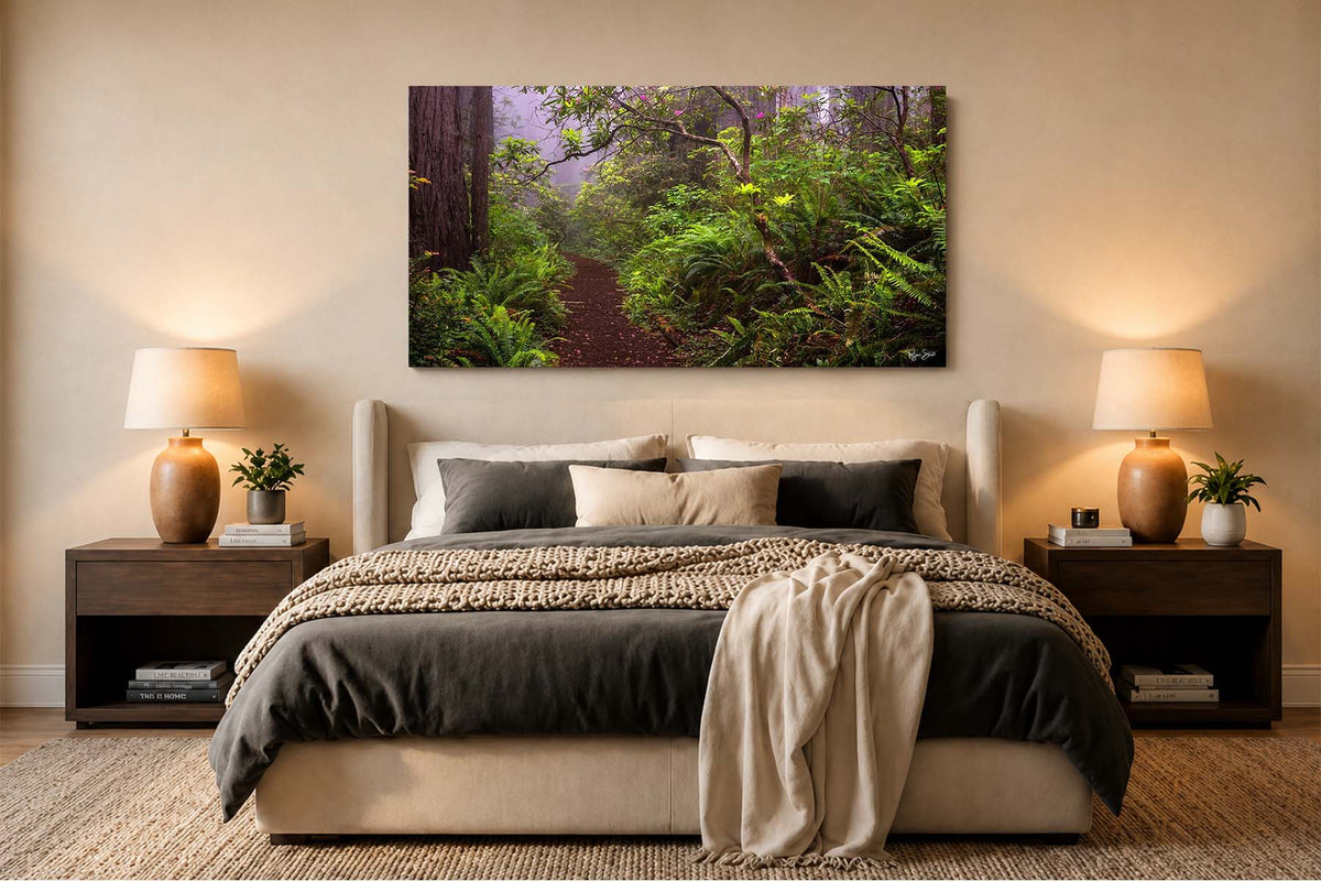 Blooming - Redwoods National Park