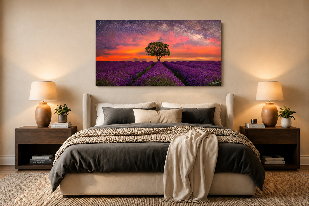 Field of Dreams