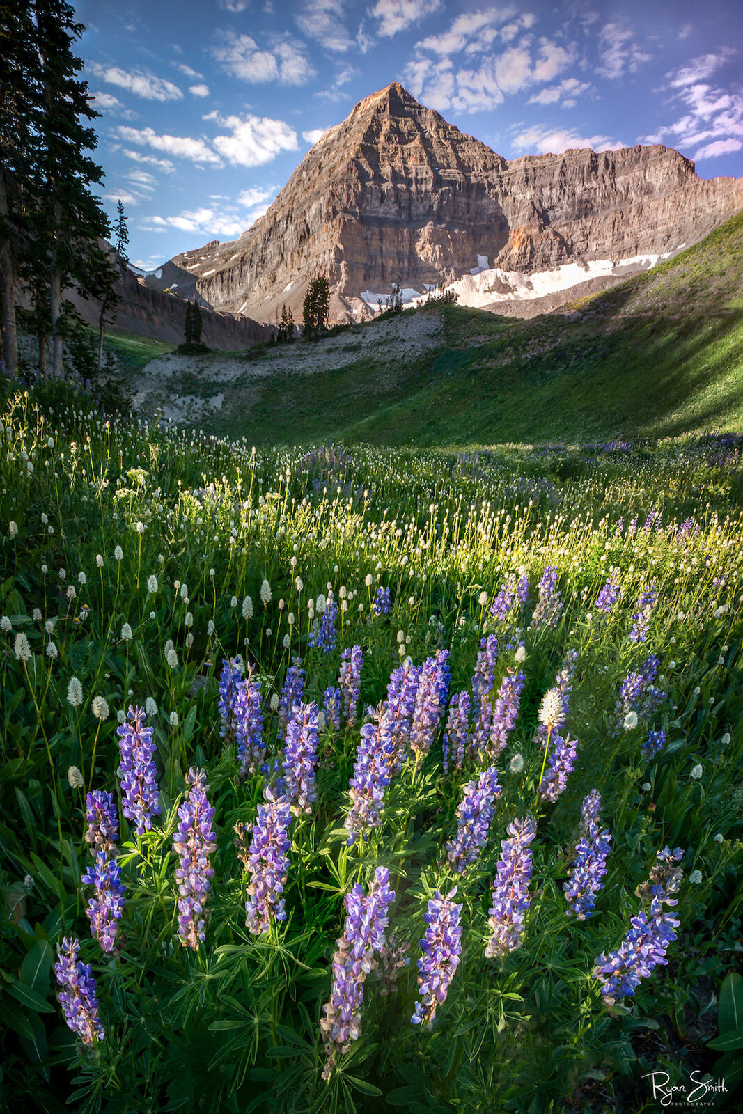 Reach - Mt Timpanogos