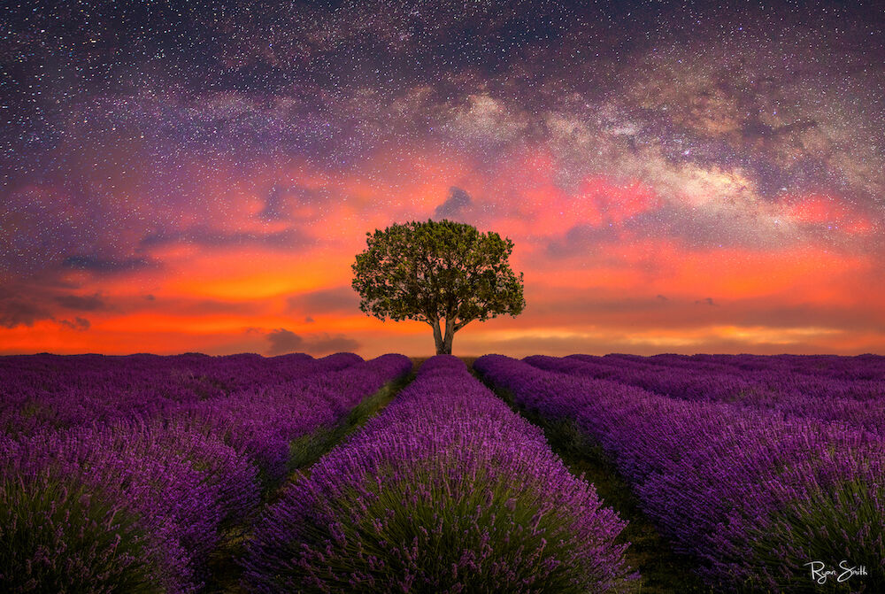 Field of Dreams