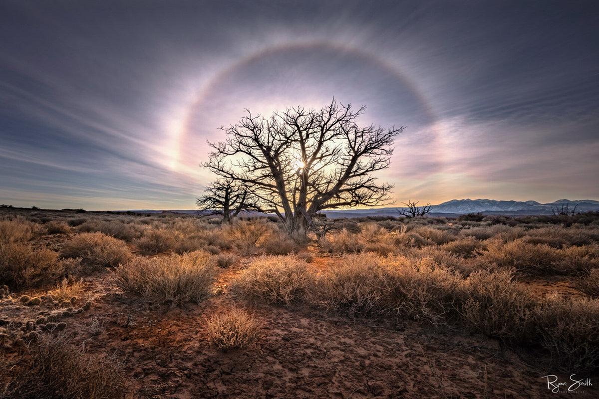 Halo - Arches National Park