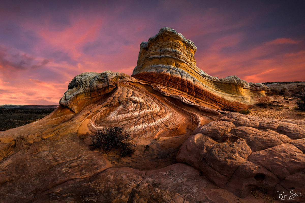 Revolution - White Pocket, Arizona