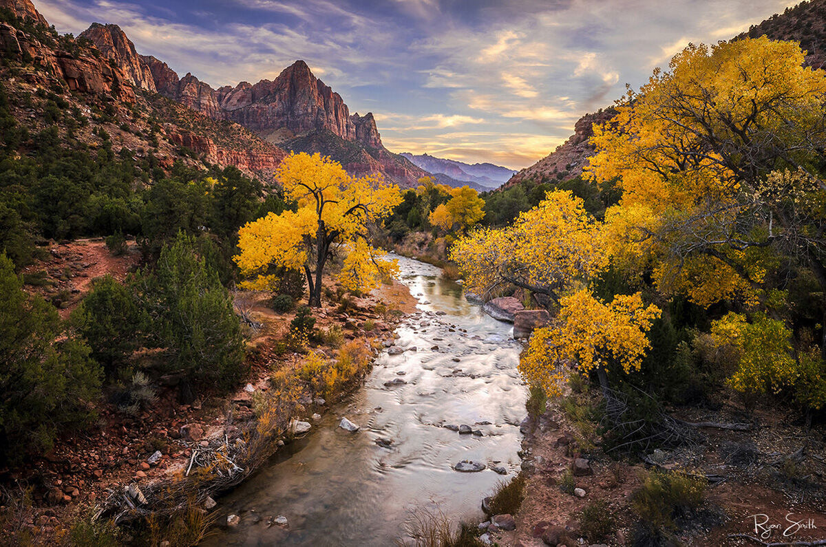 River of Gold - Zion National Park, Utah