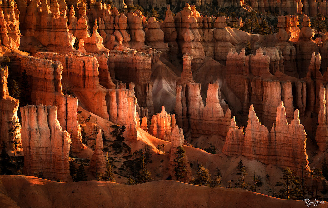 Canyon Glow - Bryce Canyon