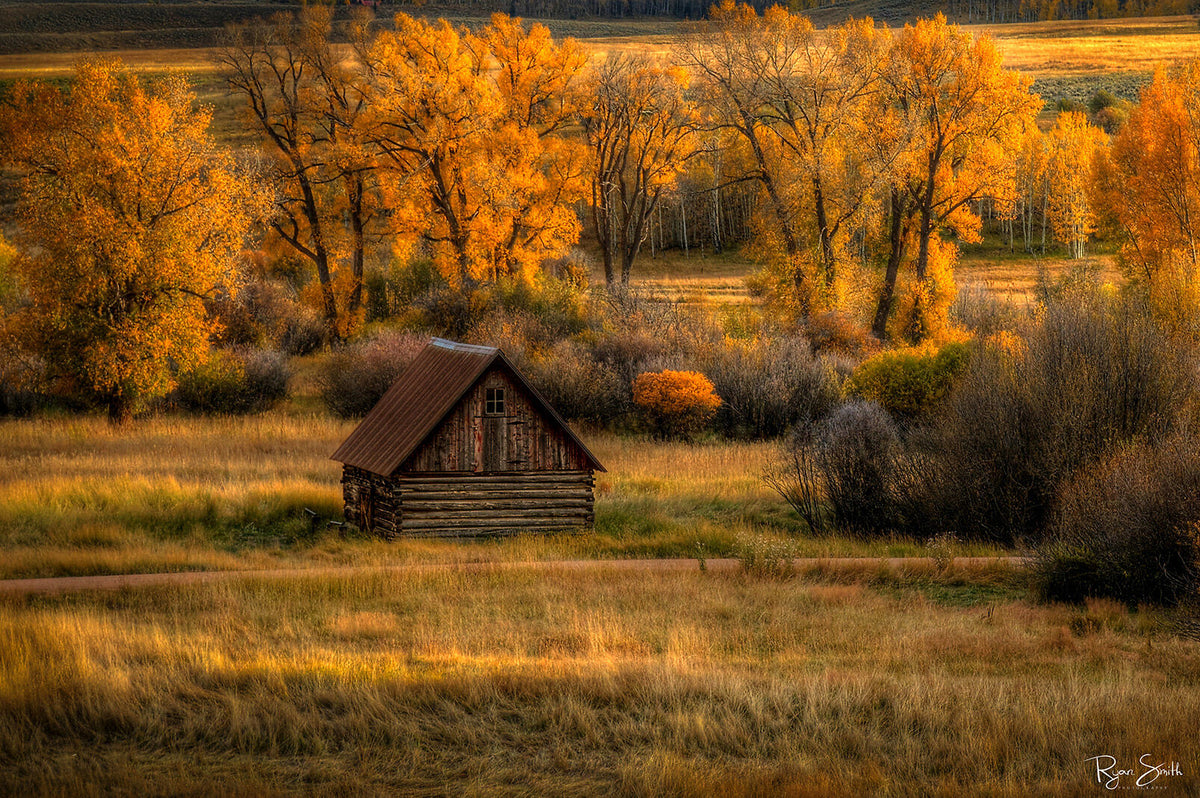 Homestead - Crested Butte, CO