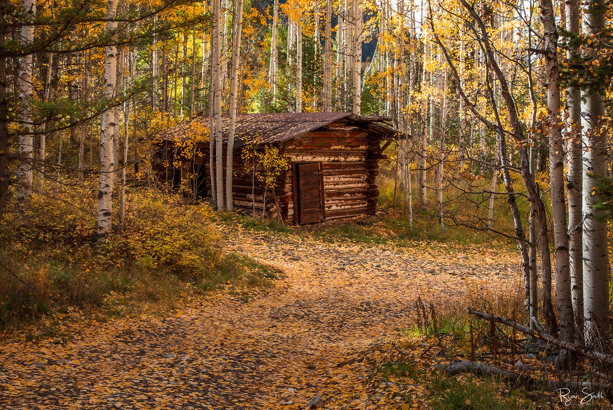 Ames Cabin - Telluride, CO