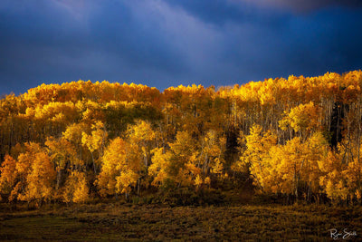 Ridgeglow - Ridgway, CO