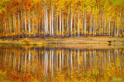 Glitter - Ridgway, CO