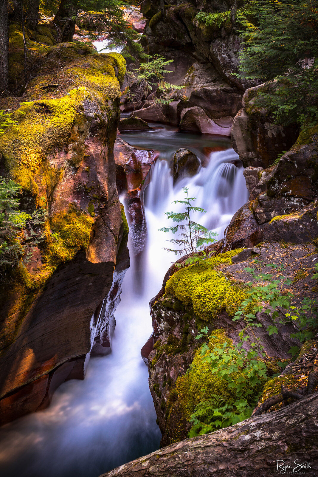 Out On A Ledge - Glacier National Park