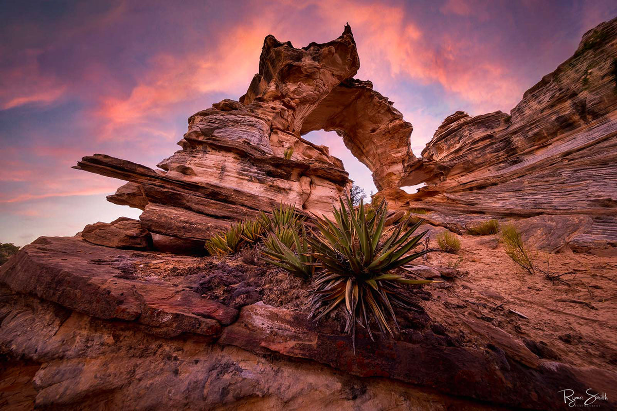 Inchworm - Kanab, UT