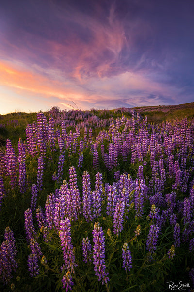 Balanced - Bald Hills, OR