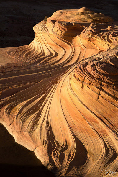 Windswept - The Wave, Utah