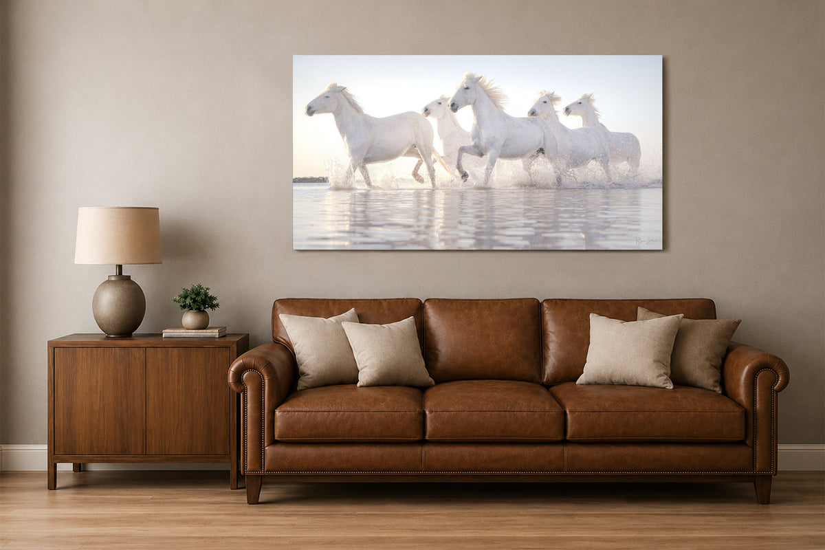 Chasing Light – Spirit of Camargue