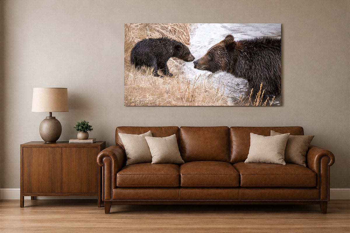 Bearly Assured - Grizzly Bear Crossing