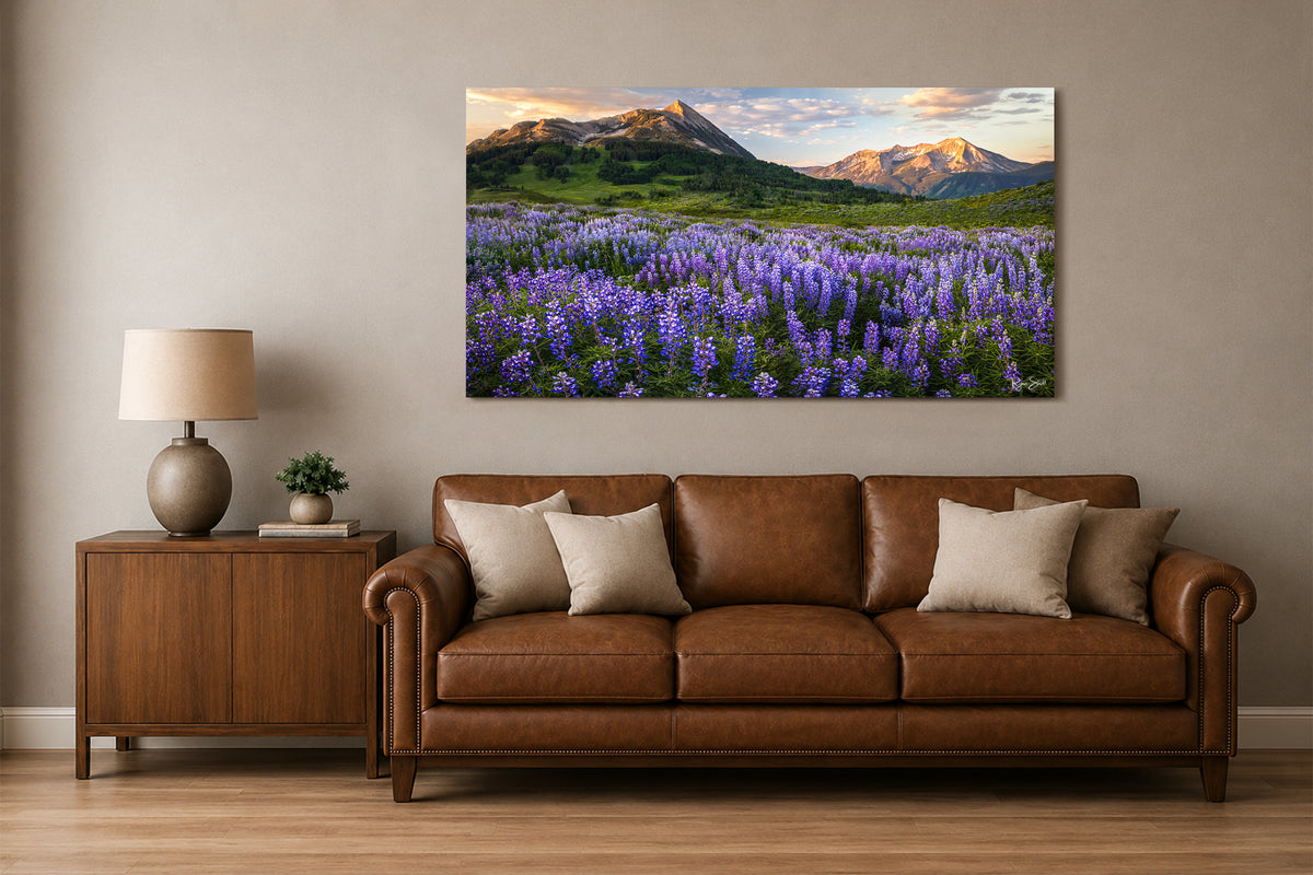 Summer Breeze - Crested Butte Colorado