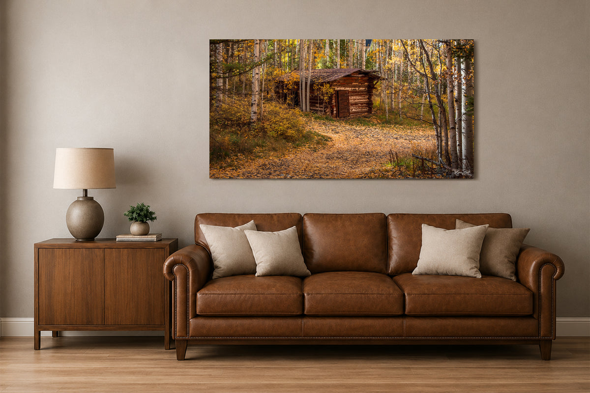 Ames Cabin - Telluride, CO
