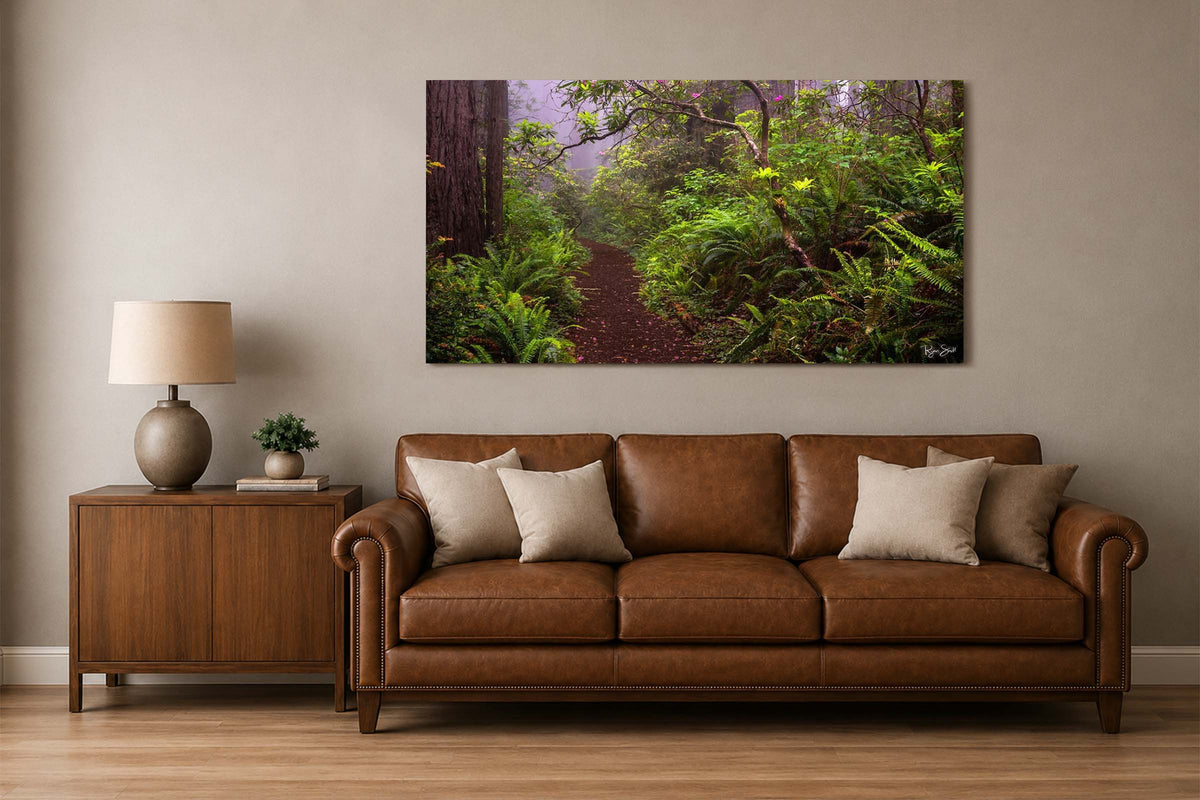 Blooming - Redwoods National Park