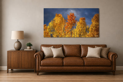 Aspen Fire - Ridgway, CO