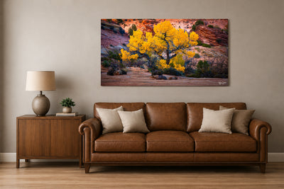 Glory Pano - Zion National Park