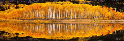 Clarity Pano 1:3 - Ridgway, CO