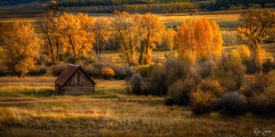 Homestead Wide Crested - Butte, CO