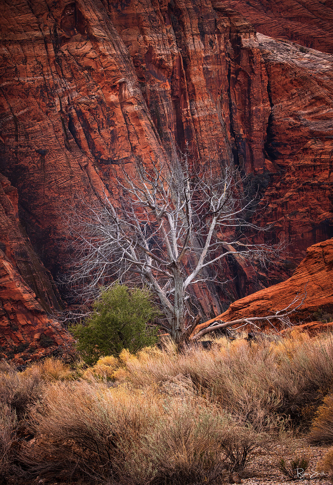 Sentinel - St George, UT