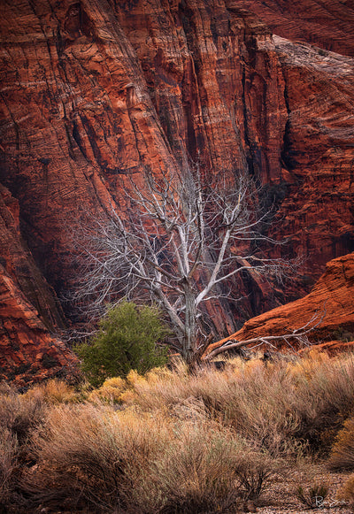 Sentinel - St George, UT