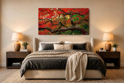 Red Maple - Seattle, WA