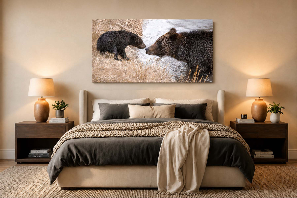 Bearly Assured - Grizzly Bear Crossing