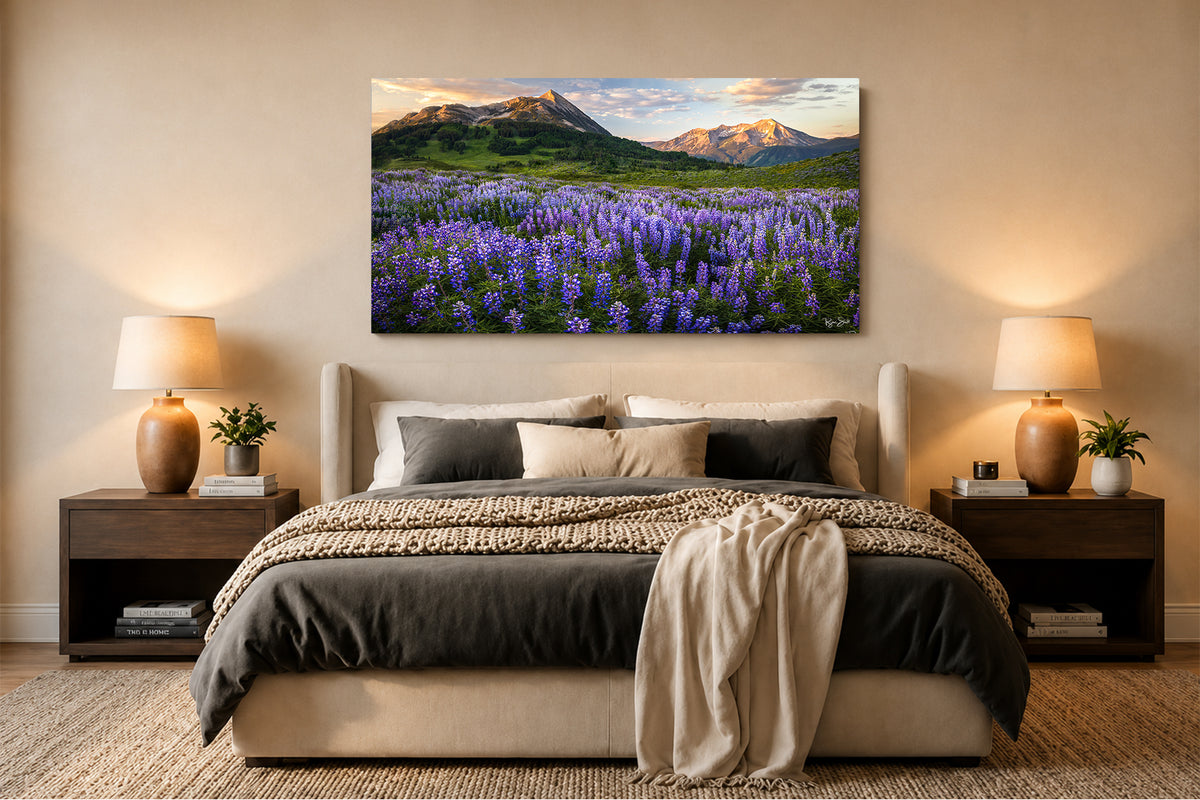Summer Breeze - Crested Butte Colorado