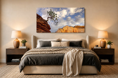 Bonsai - Zion National Park