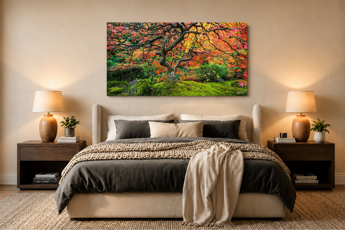 Japanese Maple Flame - Portland, Oregon