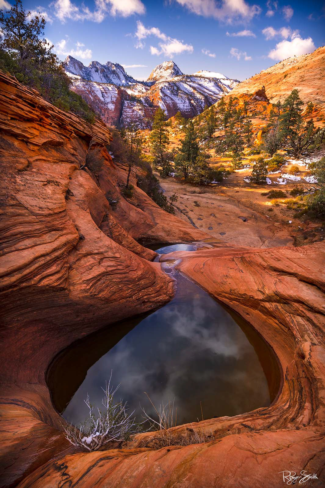 Desert Spring - Zion National Park