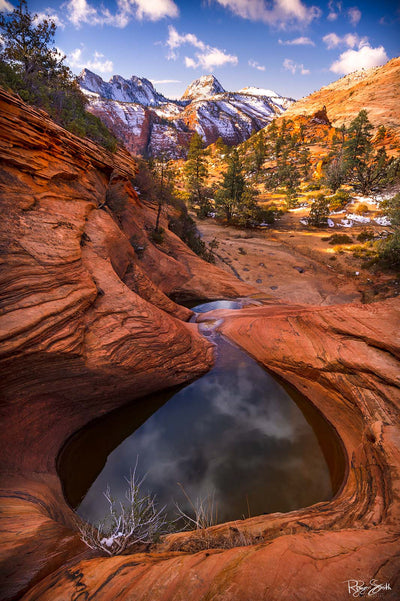 Desert Spring - Zion National Park