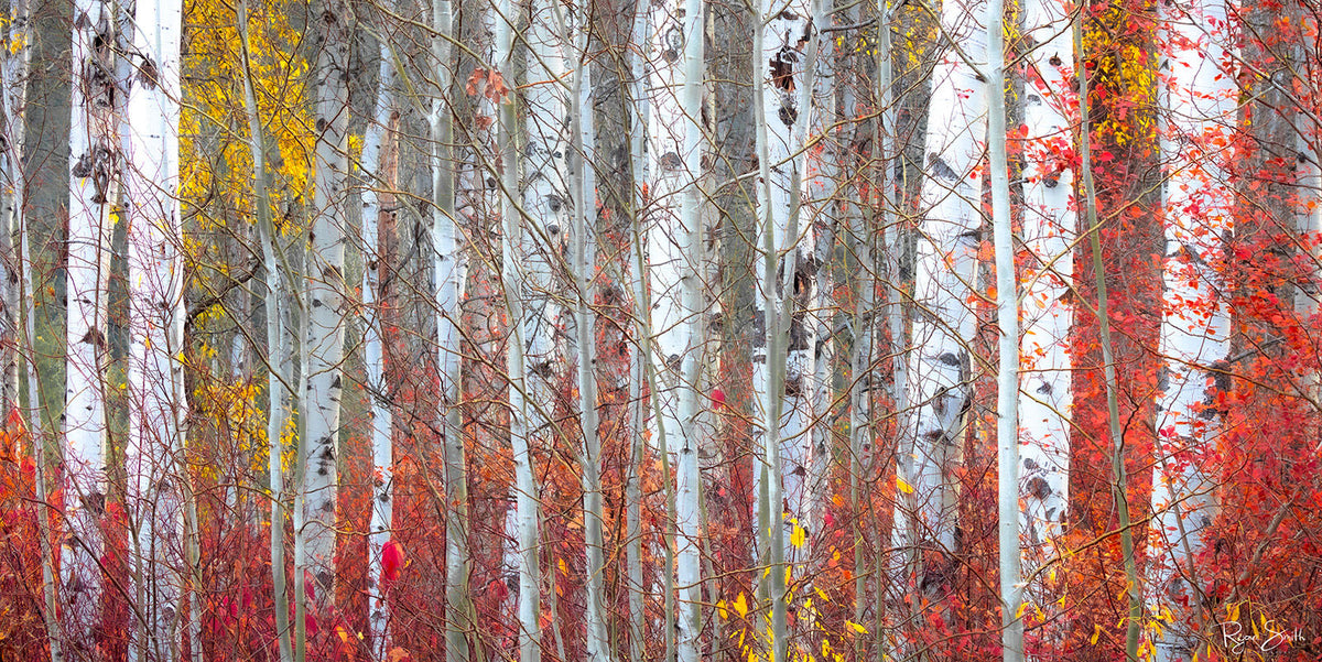 Autumnly - Leavenworth, WA