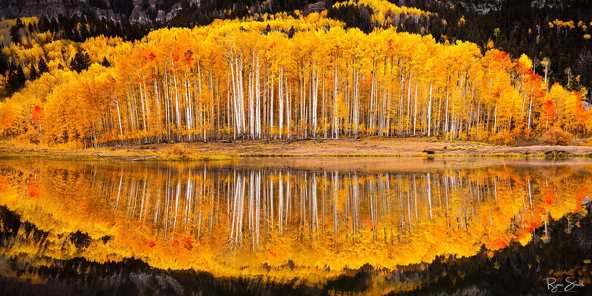Clarity Pano 1:2 - Ridgway, CO