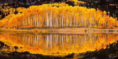 Clarity Pano 1:2 - Ridgway, CO