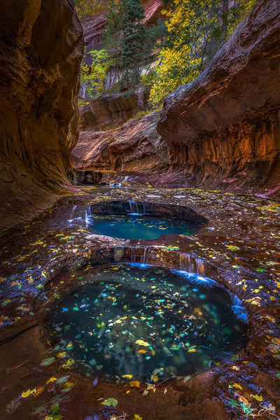 Infinity - Subway | Zion NP