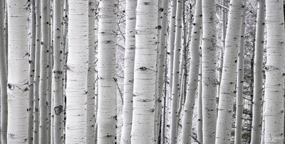 Aspen White - Telluride, CO