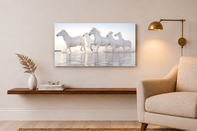 Chasing Light – Spirit of Camargue