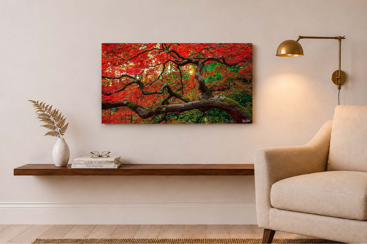 Red Maple - Seattle, WA