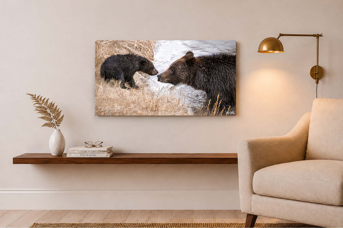 Bearly Assured - Grizzly Bear Crossing