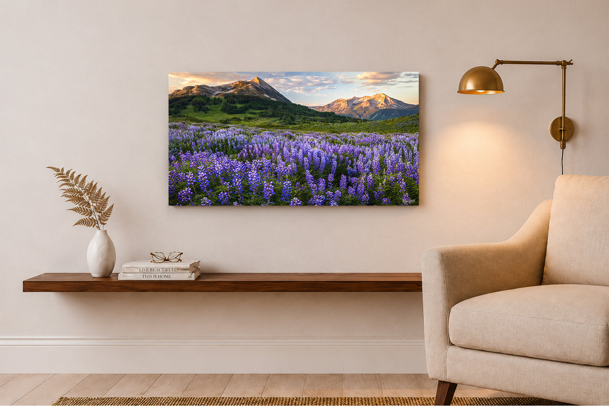Summer Breeze - Crested Butte Colorado